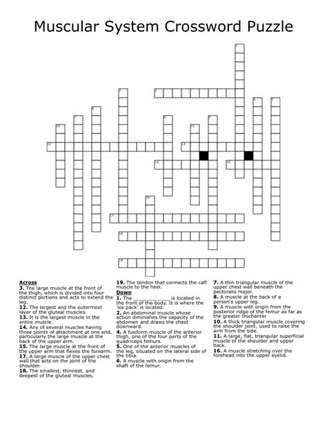 The Crossword Solver found 30 answers to "shoulder muscle ,for short", 4 letters crossword clue. The Crossword Solver finds answers to classic crosswords and cryptic crossword puzzles. Enter the length or pattern for better results. Click the answer to find similar crossword clues . Enter a Crossword Clue.